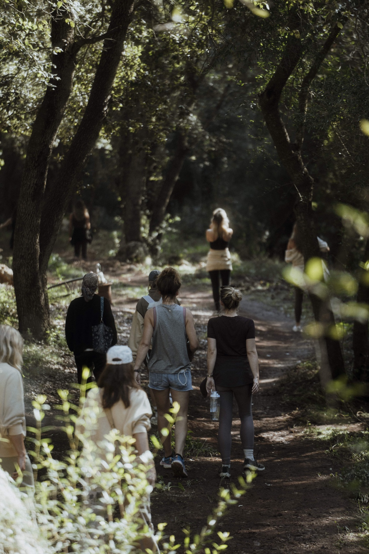 Guests walking through the forest during the Moonsisters x Kaer retreat in Mallorca